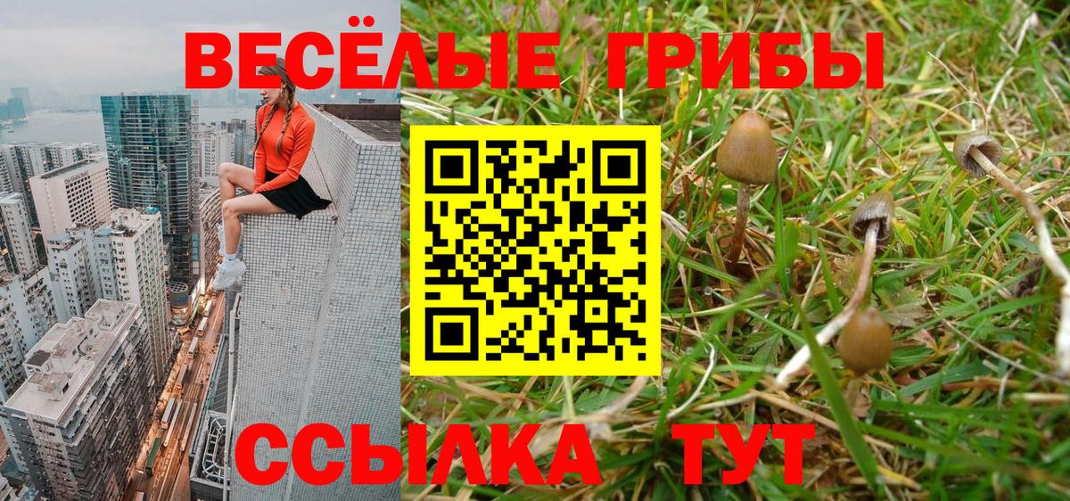 Тобольск  Псилоцибиновые грибы Magic Shrooms  Вход с VPN 