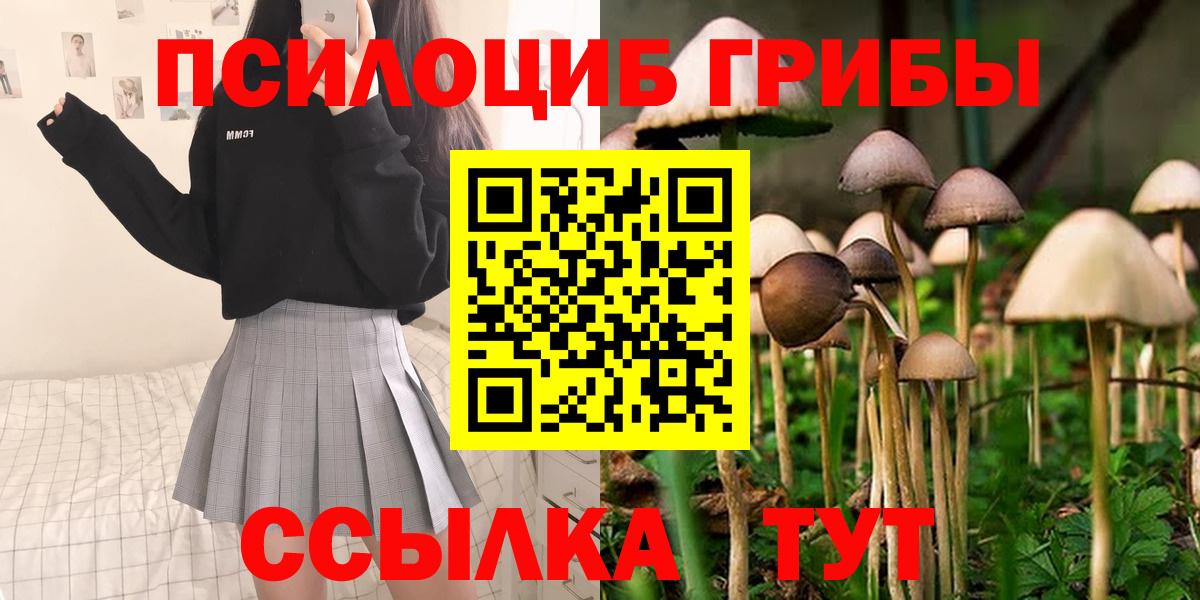 Псилоцибиновые грибы Cubensis Тобольск
